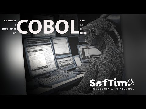 COBOL in 2024 Why It's Your Next Programming Language