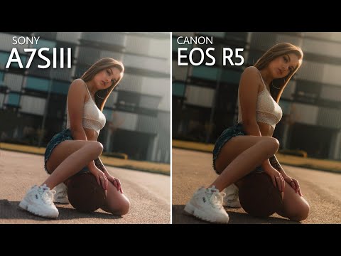 Sony a7S III VS Canon EOS R5 CAMERA COMPARISON