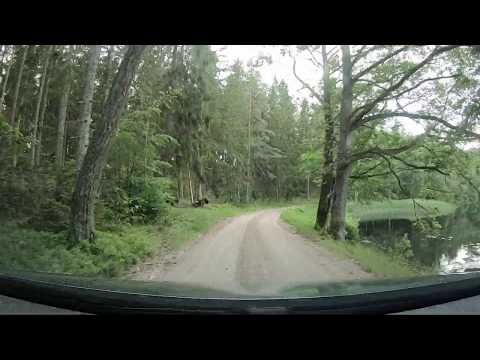 KARLSNÄSGÅRDEN — SKÄRVGÖLSVÄGEN - Längs Rötlången (Ronnebyån) - Kallinge - 200620 - GoPro 7