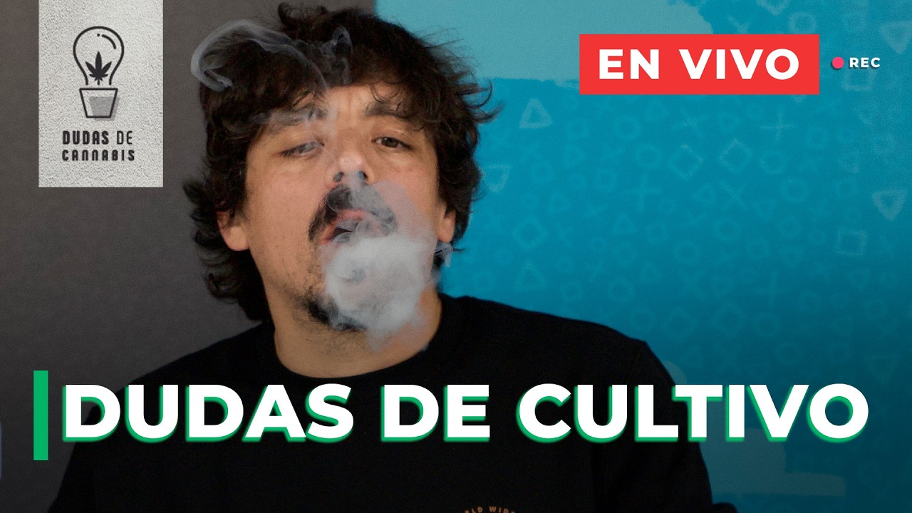 LIVE: RESPONDIENDO DE TODO Y MÁS | BUEN FINAL