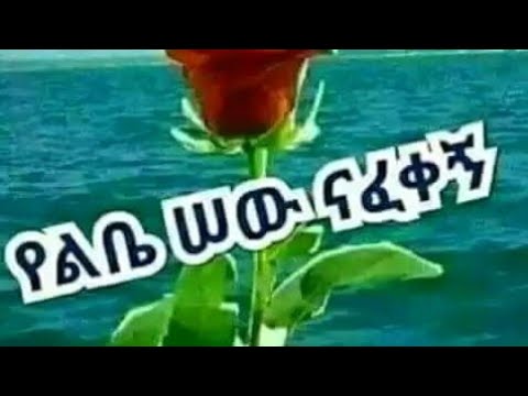 የልቤ ሰዉ ናፈቀኝ