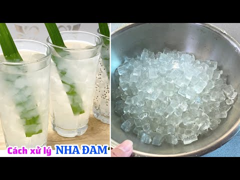 Cách nấu NHA ĐAM ĐƯỜNG PHÈN giòn thơm và cách xử lý nha đam không hề bị đắng nhớt
