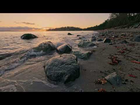 1 Hour of Serene Sunset Ocean with Seagull Sounds in 4K