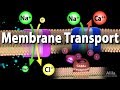 Membrane Transport, Animation