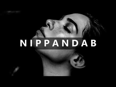 Nippandab - In The End | Remix