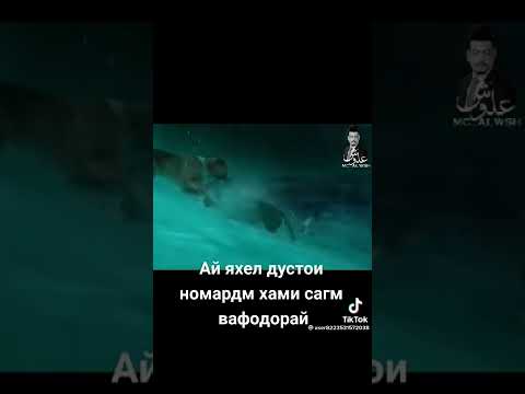 31 июля 2022 г.