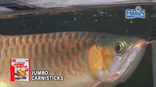 HIKARI Krmivo Jumbo Carnisticks 182 g