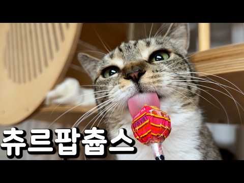 분명 화이트데이 영상을 찍기로 했는데