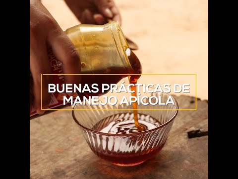 Buenas prácticas de manejeo apícola (4)