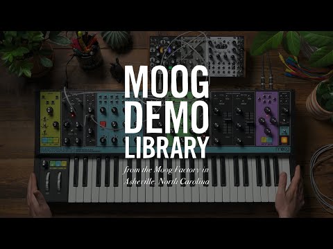 Moog Matriarch Dark 49-Key Semi-Modular Analog Synthesizer 2020 - Present - Black / Black Panel image 7