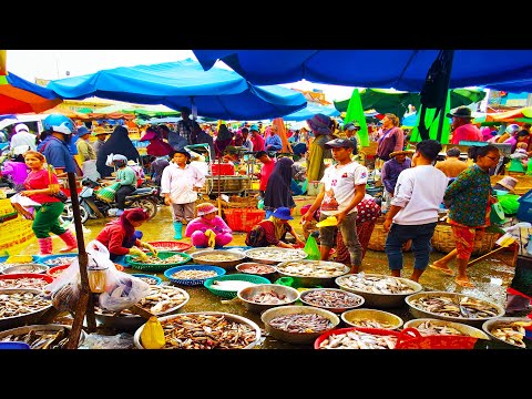Amazing Site Distributes SeaFood & Fish @ Prek Phnov Market   Morning Fish Market Scene Show