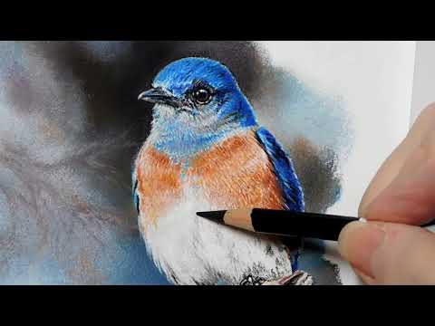 pastel painting of a blue bird tutorial by roby baer