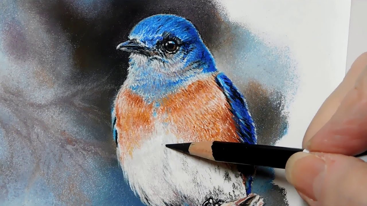 pastel painting of a blue bird tutorial by roby baer