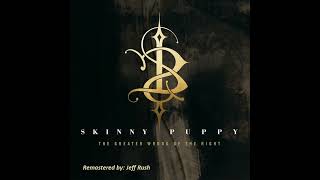 Skinny Puppy - The Greater Wrong of the Right (Full Album) (Remastered) (2004)
