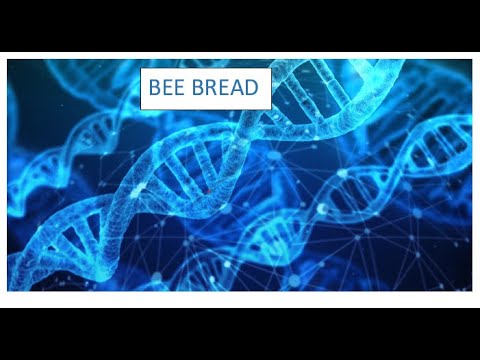 Explanied easy. Bee Bread  The Nutritional Powerhouse