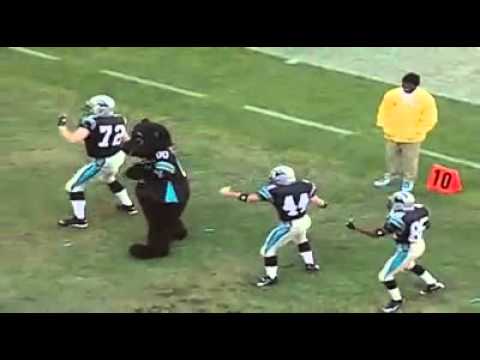 Sir Purr - Cupid Shuffle with Players