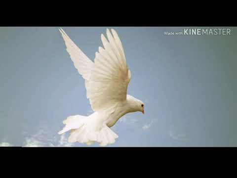 Dacă Duhul Domnului Ar Fi În Mine - Noblesse