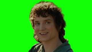 Frodo "alright then, keep your secrets" Lord of the Rings green screen