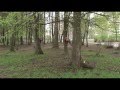 Демо нарезка фильма для выпускного в школе 