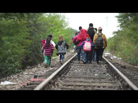 Bei Röszke an der Grenze