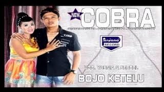 Download lagu Bojo Ketelu - Yusnia Paramitha & Djodiek Seboel mp3