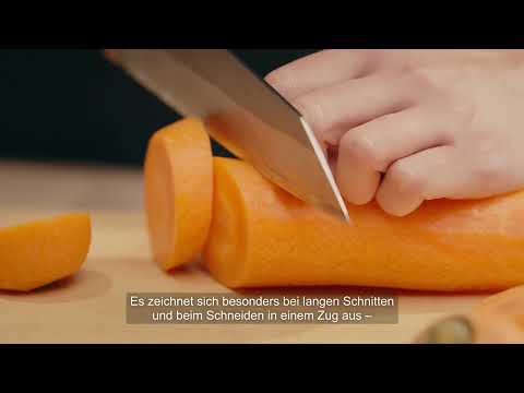 【Kiritsuke Knife】Dual Technique, One Edge | MUSASHI JAPAN_DE