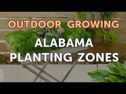 Will Salt or Vinegar Kill Bamboo