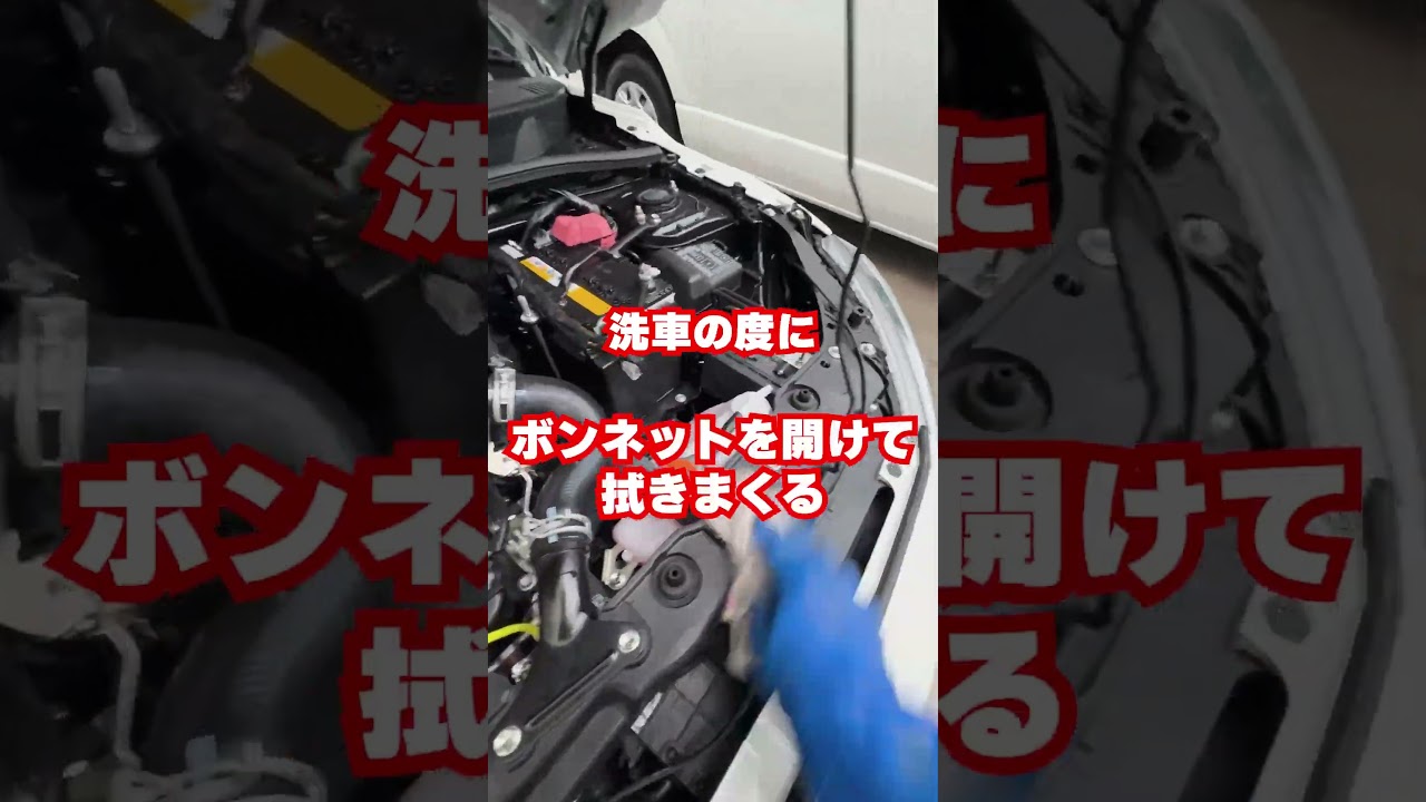 車好きなら絶対やってる…洗車あるある3選