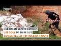 Bomb-Sniffing Dogs In Ukraine Discover Mines, Russian Uniforms Left Behind
