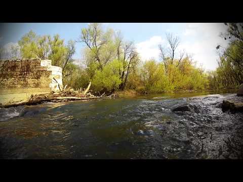 Latorica timelaps full