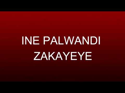 Happiness Ambassador - Insansa Shandi (lyric video)