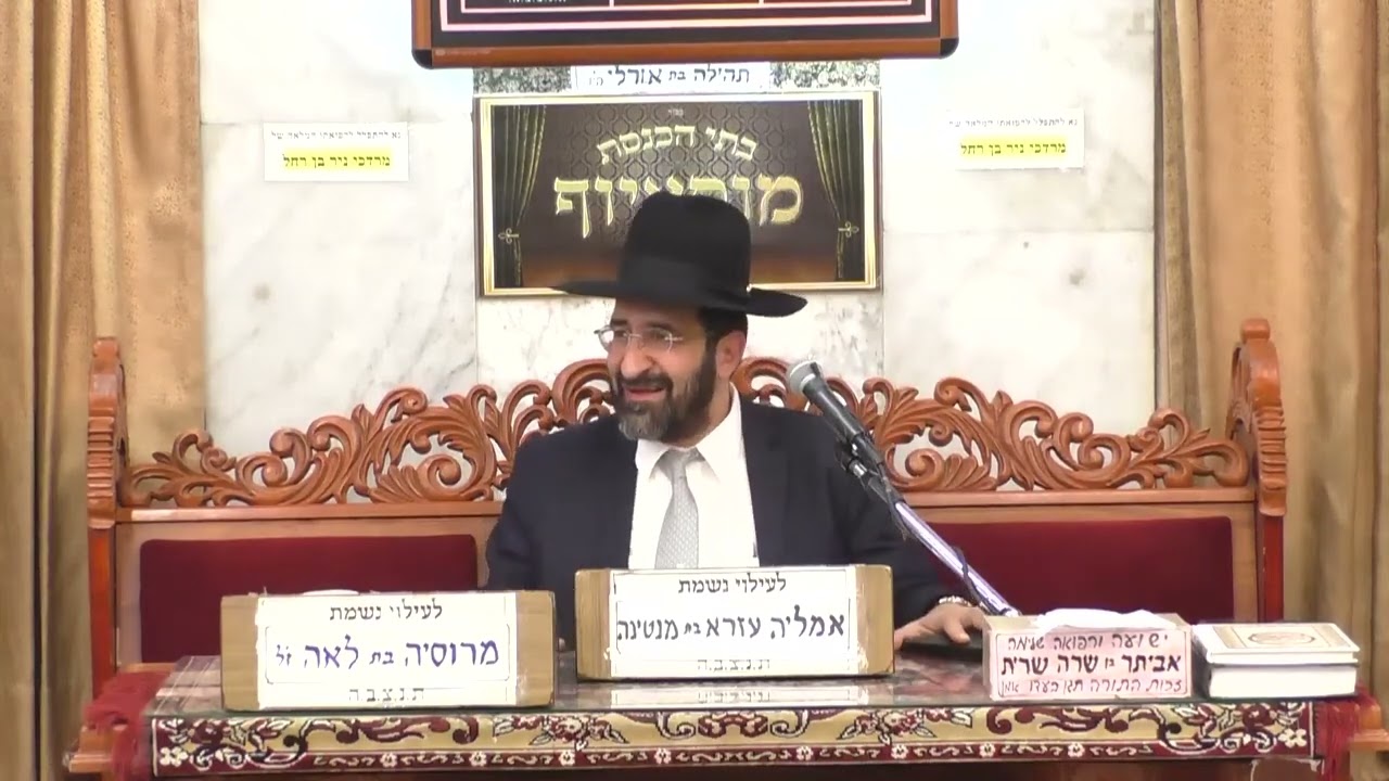 הרב אייל שרגא   •   עץ שנתלה עליו המן הרשע  • פרשת זכור