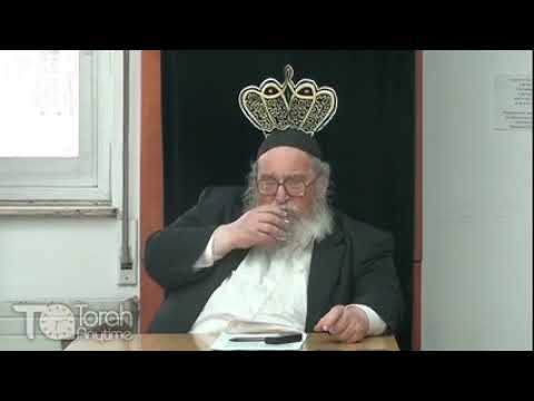 Q & A : Science in the Gemara, Techelet, Kosher Cheese and More - Rabbi Yitzchak Breitowitz