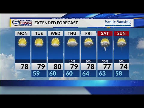 Pet of the Week: Charlie girl needs a home - YouTube