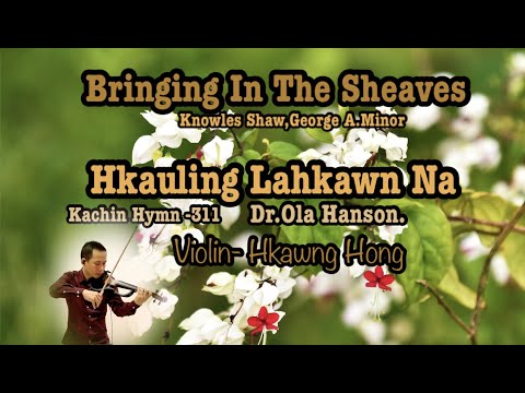 Bringing In The Sheaves/Hkauling Lahkawn Na/Kachin Hymn-311/violin- Hkawng Hong/တယော-ခေါင်ဟောင်း