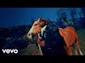 Rexx Life Raj Way 2 Gone Official Visualizer