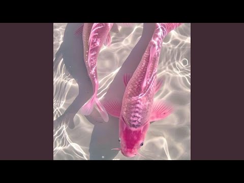 Pour Moi (feat. Cleo)