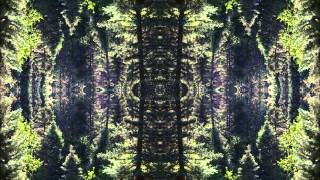 Eco - Another Beauty