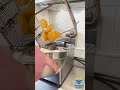 Відео