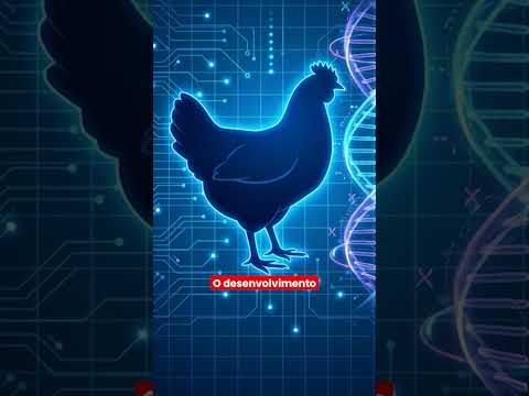 Você foi enganado sobre o frango que come a vida toda