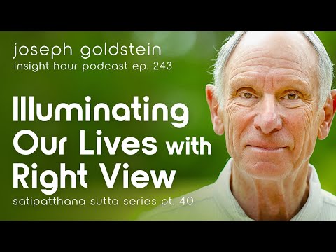 Joseph Goldstein on Illuminating Our Lives with Right View– Insight Hour Ep.243 – Sutta Series Pt.40