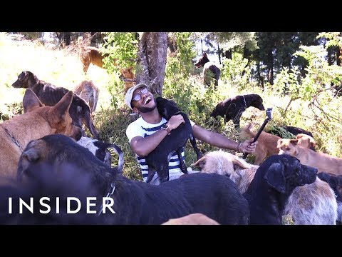 Does Costa Rica's Land Of 1,000 Dogs Live Up To The Hype? | Destination Debunkers