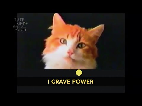 バイデン家の猫はいくつかの高尚な目標を持っている (The Biden Family Cat Has Some Lofty Goals)