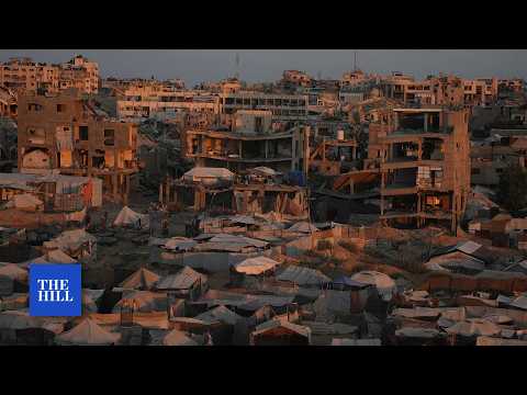 Palestinian death toll in Gaza passes 74000