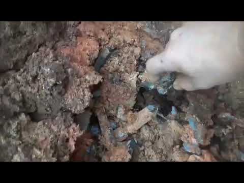 Ron Coleman Mining, Arkansas