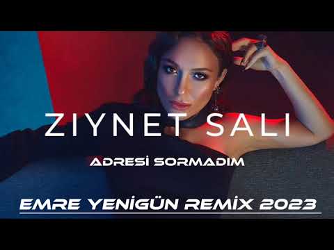 Dj Emre Yenigün ft. Ziynet Sali - Adresi Sormadım (2023 Remix)