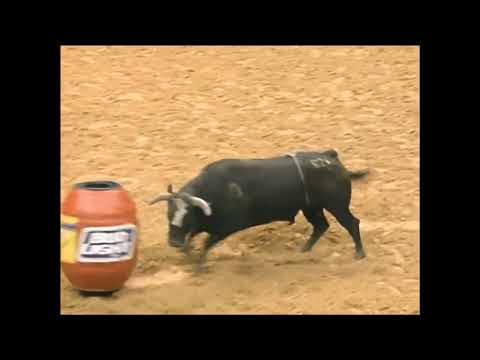Jim Bob hooks Norman Curry - 99 PBR Richmond
