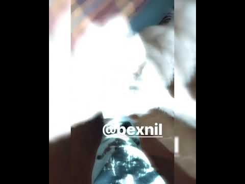 Rojuu x Leïti Sene - 🦋🦋 snippet prod. Bexnil