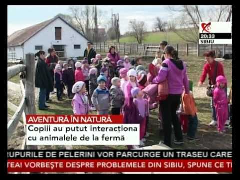 Ferma Scoala Cornatel la Realitatea Tv.avi