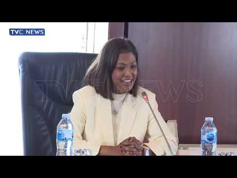 Deloitte Africa CEO commends Tinubu's reform agenda
